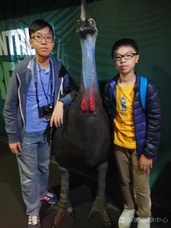 悉尼都會文化體驗遊學假期,學聯遊學團