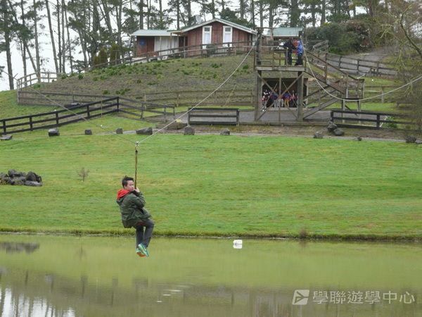 新西蘭農莊體驗之旅,學聯遊學團