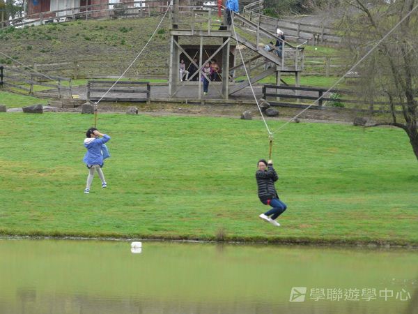 新西蘭農莊體驗之旅,學聯遊學團