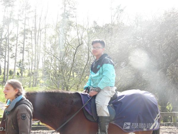 新西蘭農莊體驗之旅,學聯遊學團