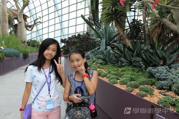 新加坡通識訓練學習之旅,學聯遊學團