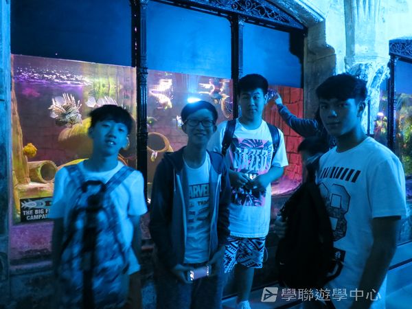 倫敦殿堂學府體驗之旅,學聯遊學團