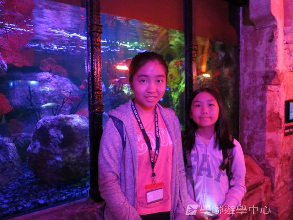 倫敦殿堂學府體驗之旅,學聯遊學團