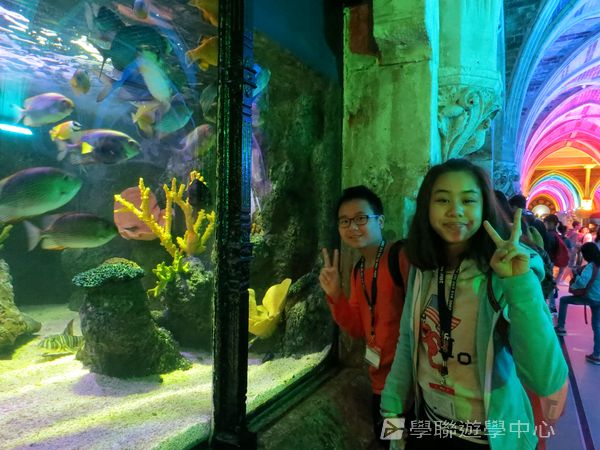 倫敦殿堂學府體驗之旅,學聯遊學團