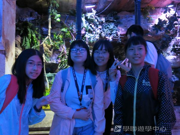 倫敦殿堂學府體驗之旅,學聯遊學團