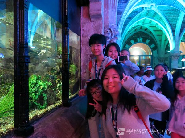 倫敦殿堂學府體驗之旅,學聯遊學團