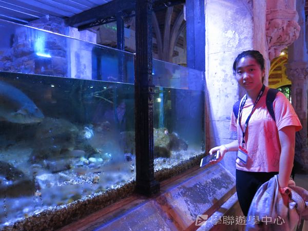 倫敦殿堂學府體驗之旅,學聯遊學團