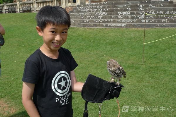 繽FUN遊學生活體驗之旅,學聯遊學團