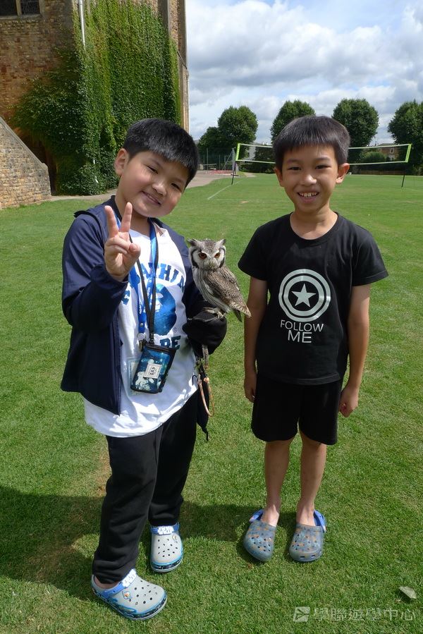 繽FUN遊學生活體驗之旅,學聯遊學團