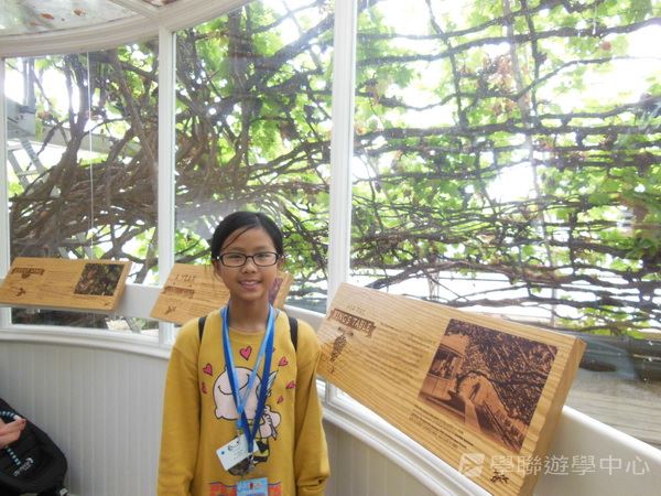 童心童學英語體驗營,學聯遊學團