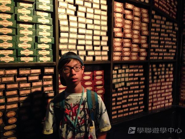 童心童學英語體驗營,學聯遊學團