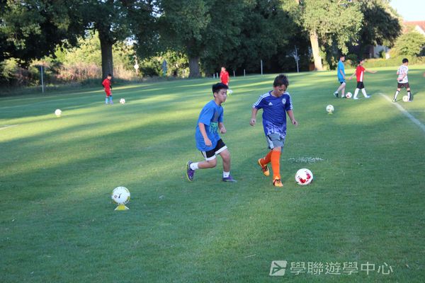 阿仙奴明日之星足球夢 ,學聯遊學團