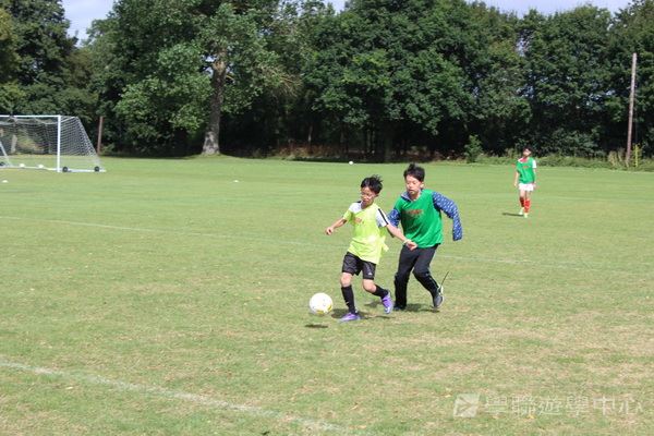 阿仙奴明日之星足球夢 ,學聯遊學團