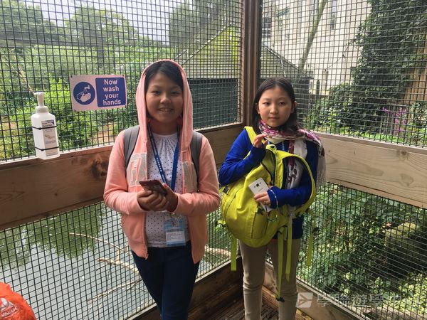 繽FUN遊學生活體驗之旅,學聯遊學團