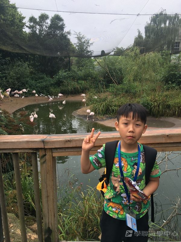 繽FUN遊學生活體驗之旅,學聯遊學團
