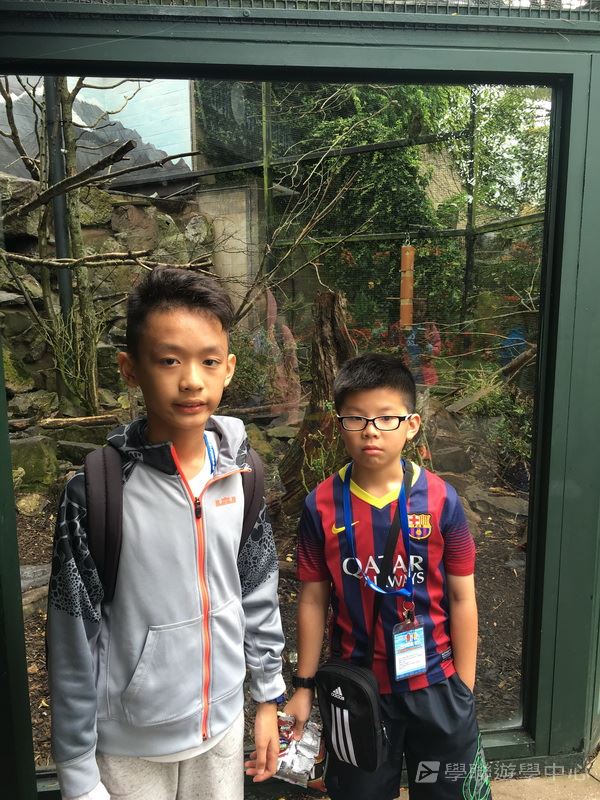 繽FUN遊學生活體驗之旅,學聯遊學團