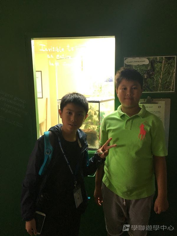 繽FUN遊學生活體驗之旅,學聯遊學團