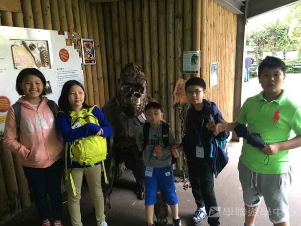 繽FUN遊學生活體驗之旅,學聯遊學團