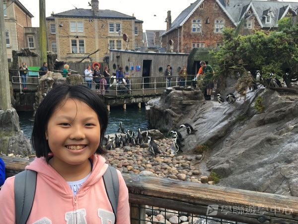 繽FUN遊學生活體驗之旅,學聯遊學團