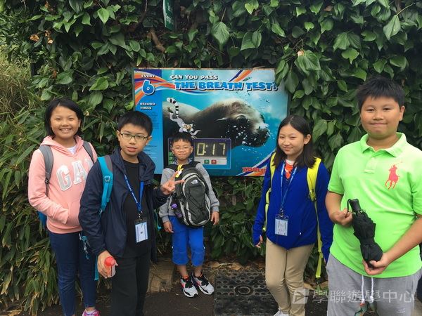 繽FUN遊學生活體驗之旅,學聯遊學團