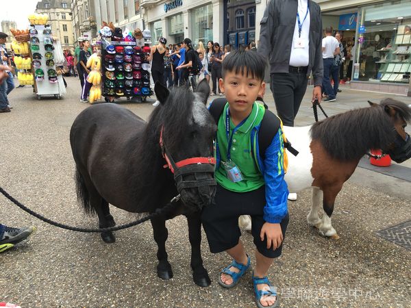 繽FUN遊學生活體驗之旅,學聯遊學團