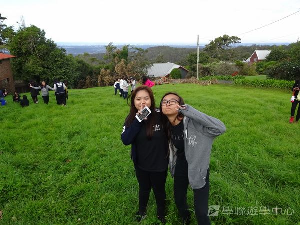 澳洲東岸體驗假期,學聯遊學團