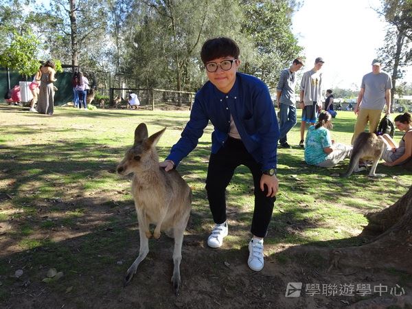 澳洲東岸體驗假期,學聯遊學團