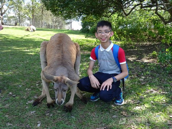 澳洲東岸體驗假期,學聯遊學團