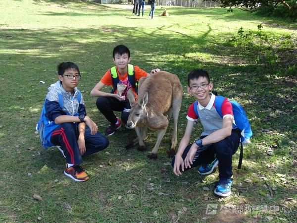 澳洲東岸體驗假期,學聯遊學團