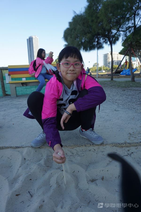 黃金海岸金色遊學假期,學聯遊學團