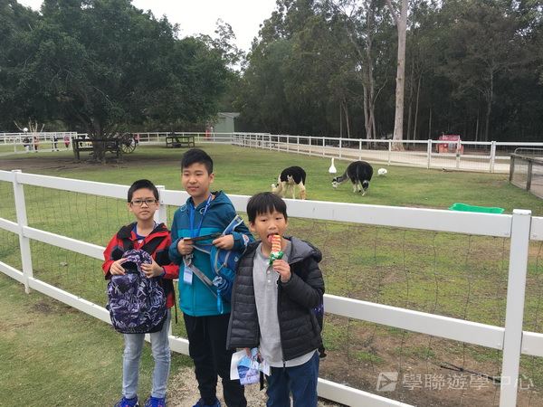 黃金海岸金色遊學假期,學聯遊學團
