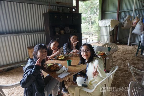 黃金海岸金色遊學假期,學聯遊學團