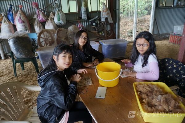 黃金海岸金色遊學假期,學聯遊學團