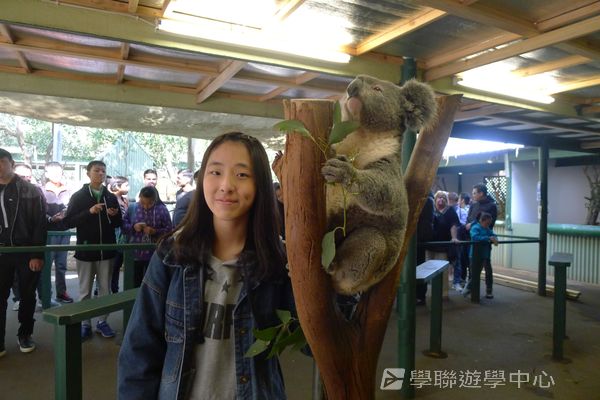 悉尼都會文化體驗遊學假期,學聯遊學團