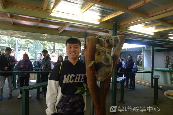 悉尼都會文化體驗遊學假期,學聯遊學團