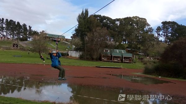新西蘭農莊體驗之旅,學聯遊學團