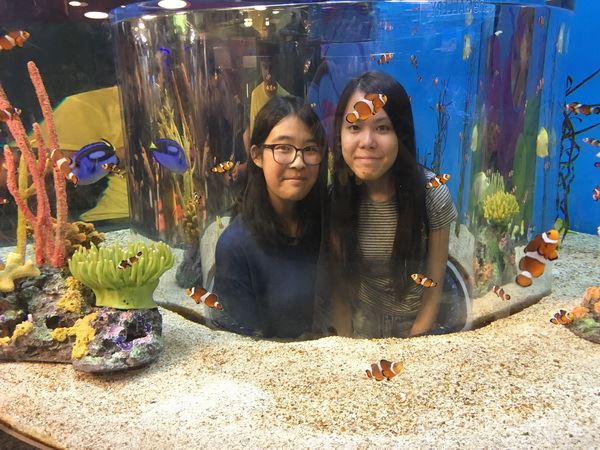 多倫多文化風情體驗之旅,學聯遊學團