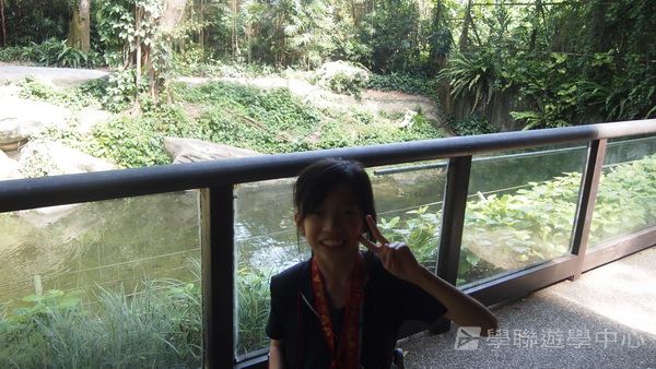 新加坡通識全方位體驗之旅,學聯遊學團