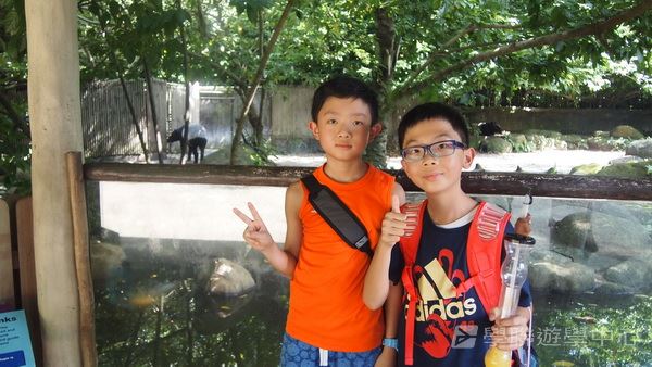 新加坡通識全方位體驗之旅,學聯遊學團