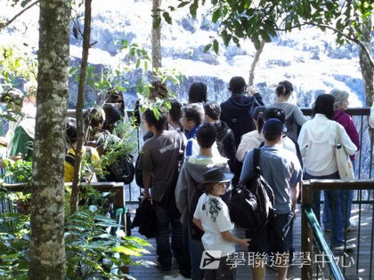 昆士蘭遊學 + 農莊生活體驗,學聯遊學團