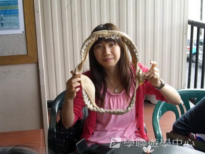 昆士蘭遊學 + 農莊生活體驗,學聯遊學團