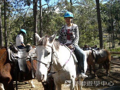 昆士蘭遊學 + 農莊生活體驗,學聯遊學團