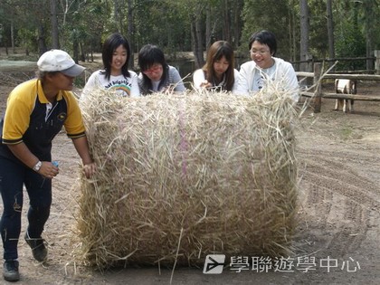 昆士蘭遊學 + 農莊生活體驗,學聯遊學團