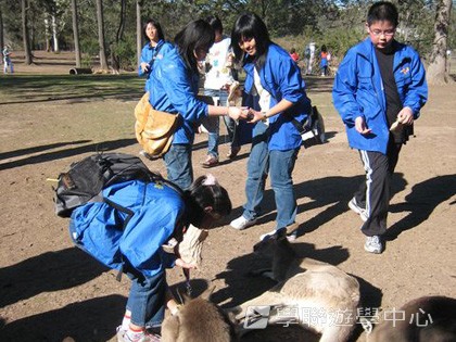 布里斯本名校遊學假期,學聯遊學團