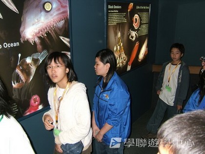 布里斯本名校遊學假期,學聯遊學團