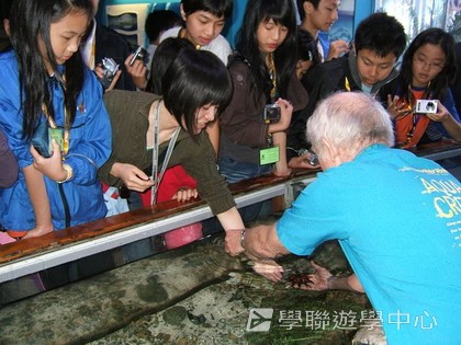 布里斯本名校遊學假期,學聯遊學團