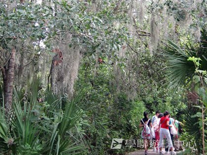 「升空夢、超想像」迪士尼太空夢幻探索營,學聯遊學團