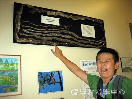 「升空夢、超想像」迪士尼太空夢幻探索營,學聯遊學團