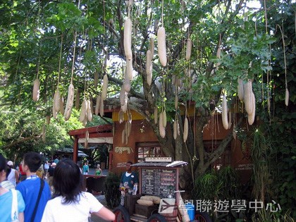 「升空夢、超想像」迪士尼太空夢幻探索營,學聯遊學團