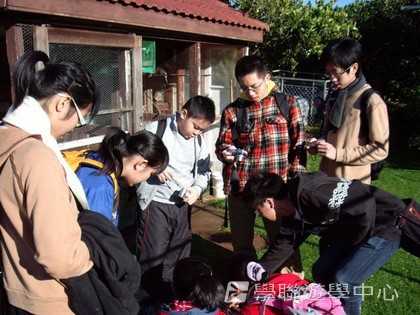 紐西蘭英語飛行探索之旅,學聯遊學團